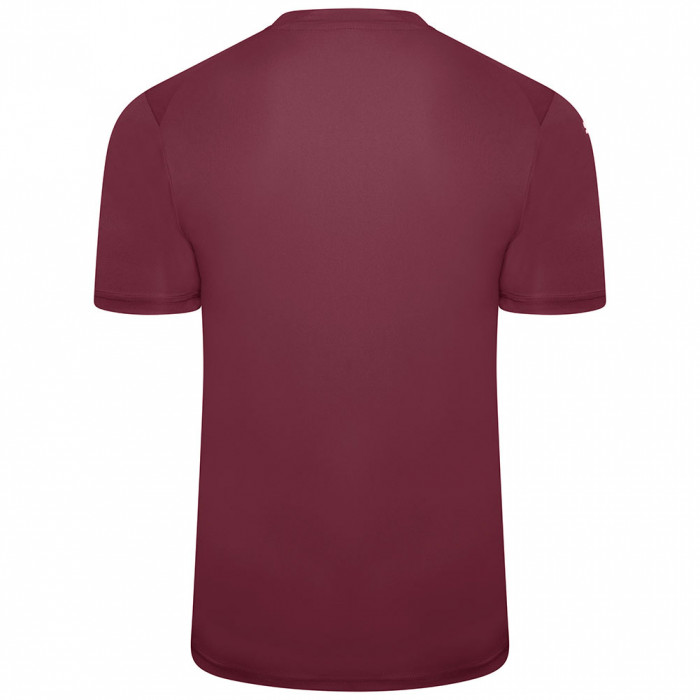  70501724 Puma Team Glory GK Jersey Grape Wine 