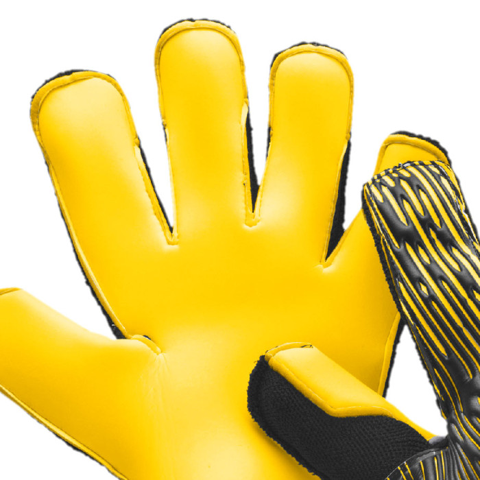 Puma FUTURE Grip 2 SGC Be The Spark Goalkeeper Gloves