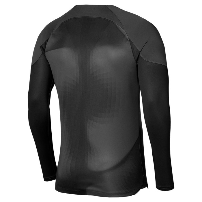 Nike Gardien IV GK Jersey Anthracite / Black / (White)