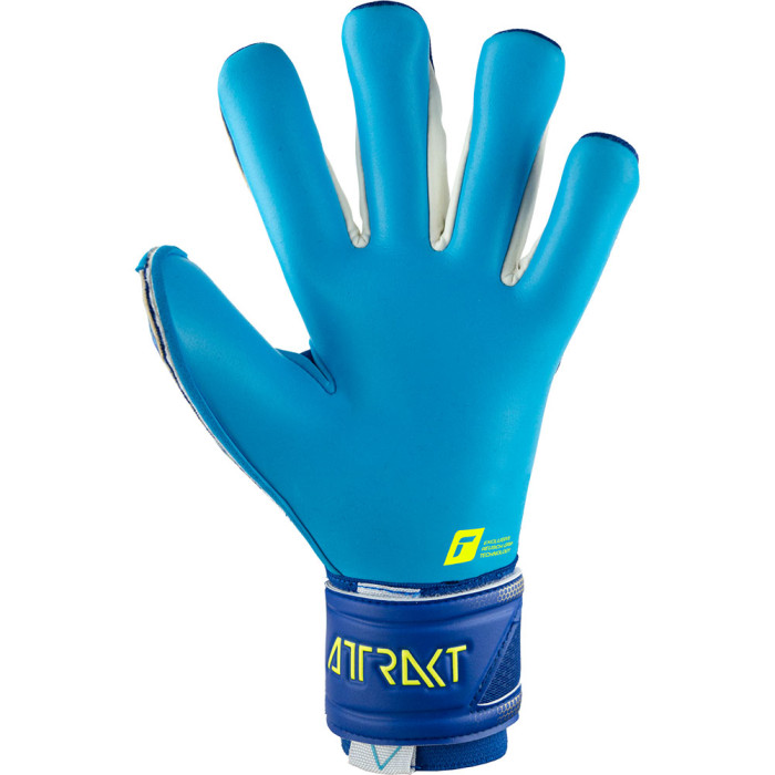 Reusch Attrakt Aqua Goalkeeper Gloves True Blue/Gold/Aqua Blue