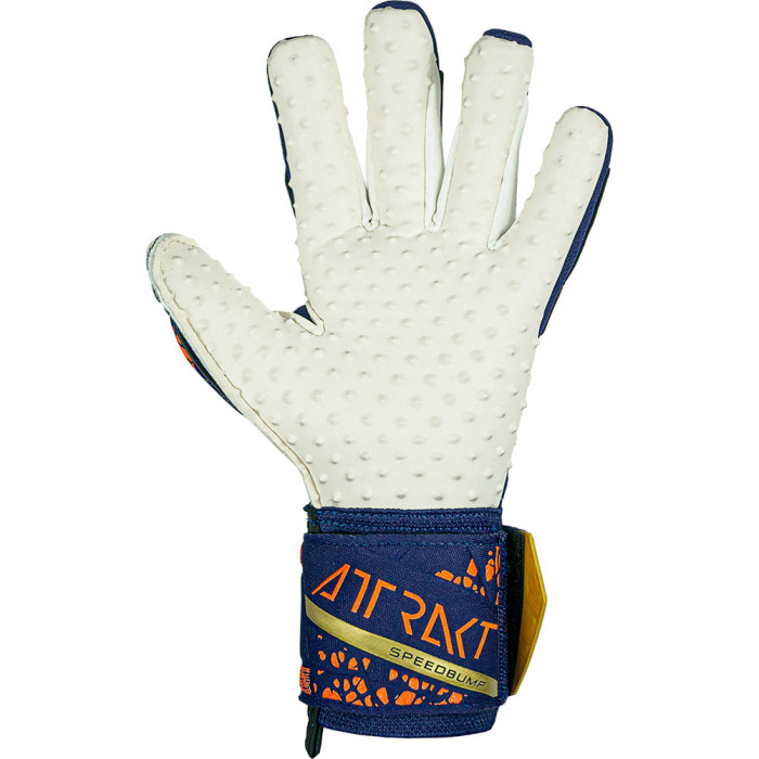 Reusch Attrakt SpeedBump Blue/Gold