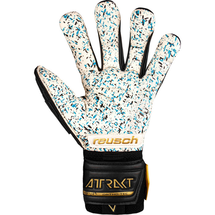 Reusch Attrakt Freegel Fusion Ortho-Tec Black