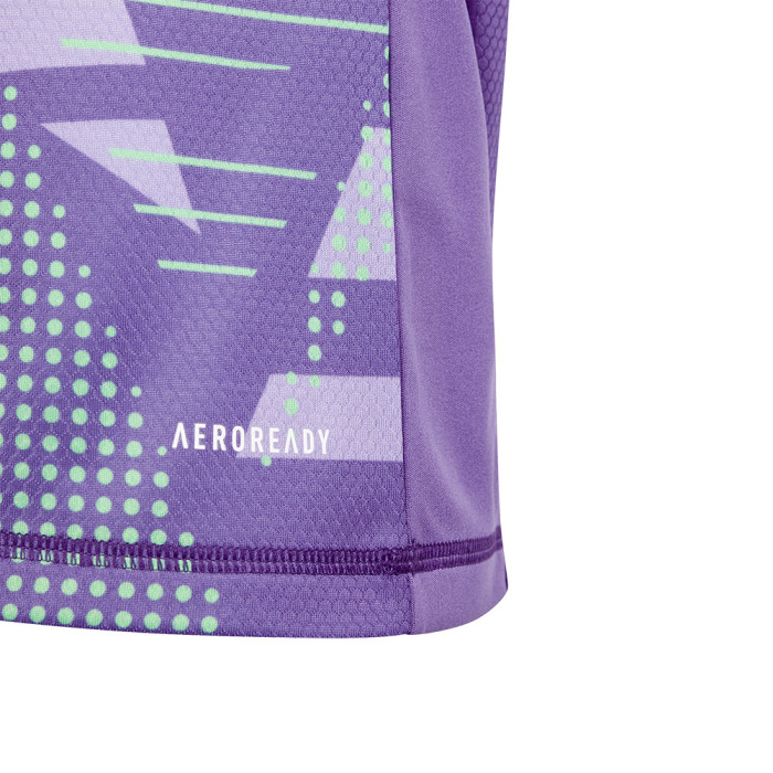  IN0430 adidas Tiro 24 Competition LS Junior GK Jersey purple 