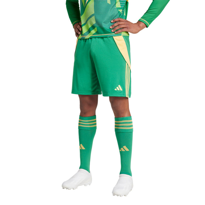  IT2414 adidas Tiro 24 Goalkeeper Shorts green 