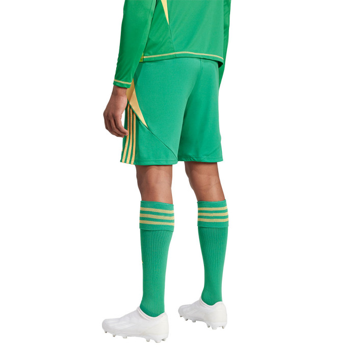 IT2414 adidas Tiro 24 Goalkeeper Shorts green 