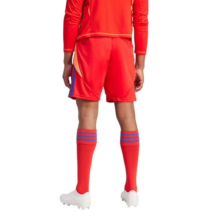  IT2416 adidas Tiro 24 Goalkeeper Shorts red 