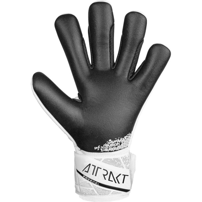 Reusch Attrakt Freegel Silver Goalkeeper Gloves Shine Bright Euro 2024