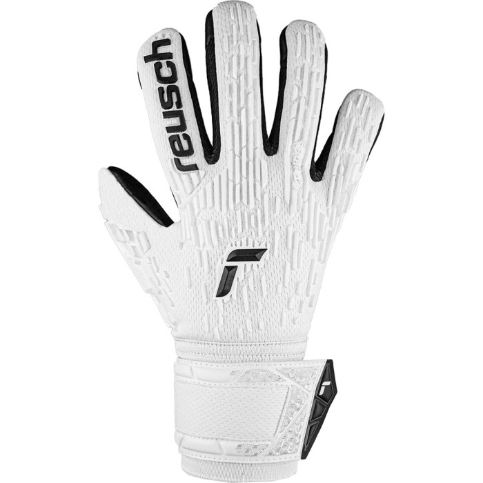 Reusch Attrakt Freegel Silver Goalkeeper Gloves Shine Bright Euro 2024