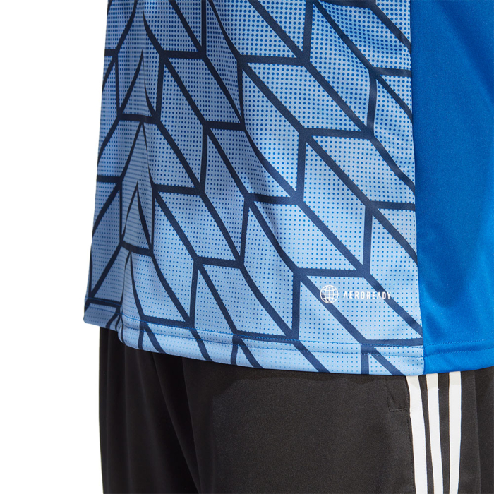  HR2632 adidas Team Icon SS Goalkeeper Shirt Team Blue 