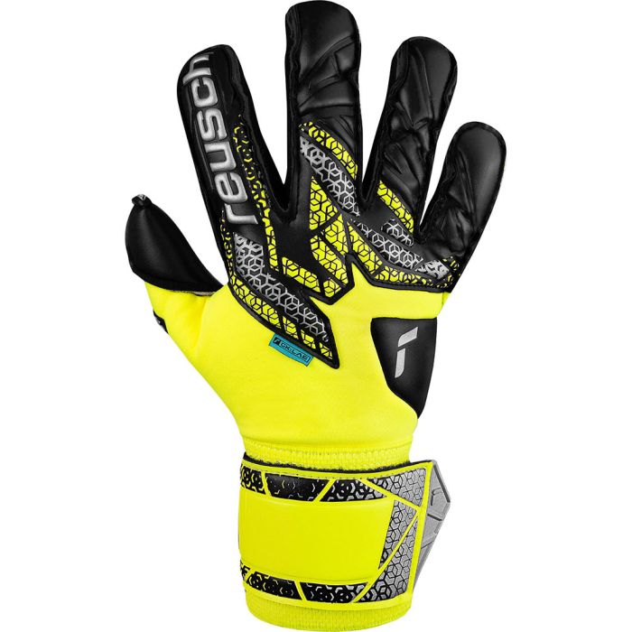 Reusch Attrakt Duo Evolution (Alisson model) Goalkeeper Gloves Safety 