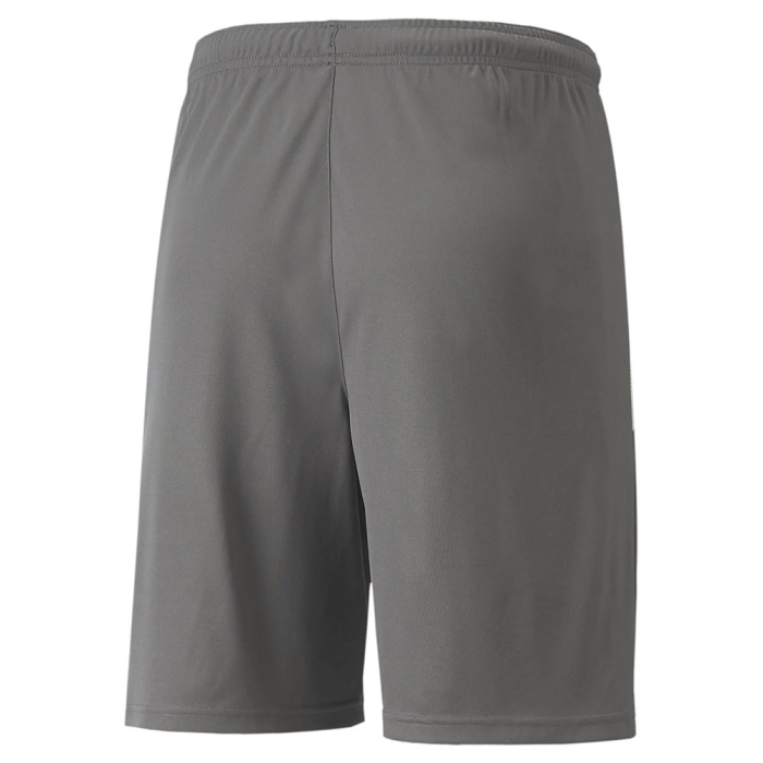 70492413 Puma Team Liga GK Shorts GREY