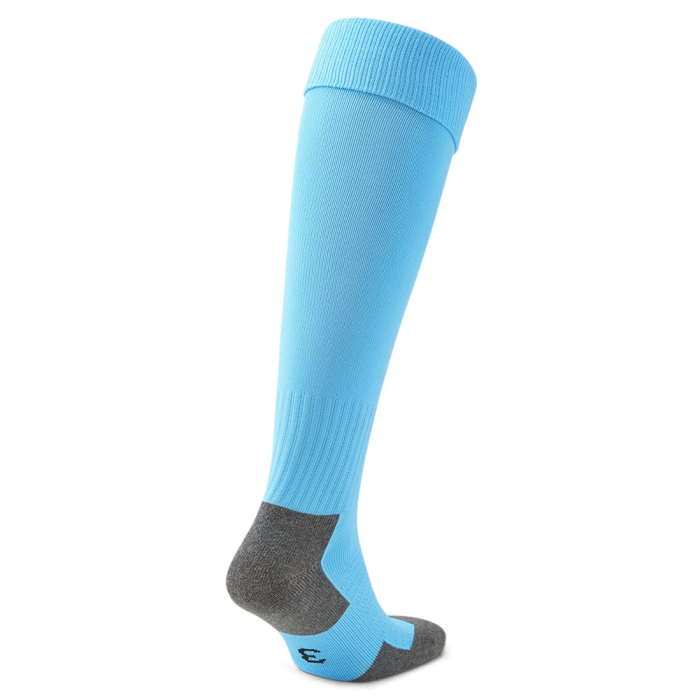 70344140 Puma Team Liga Sock Blue/Blk