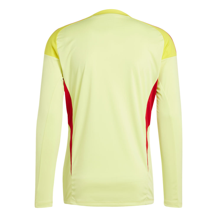 JN2018 adidas Tiro 25 Competition LS Goalkeeper Jersey pulse yellow