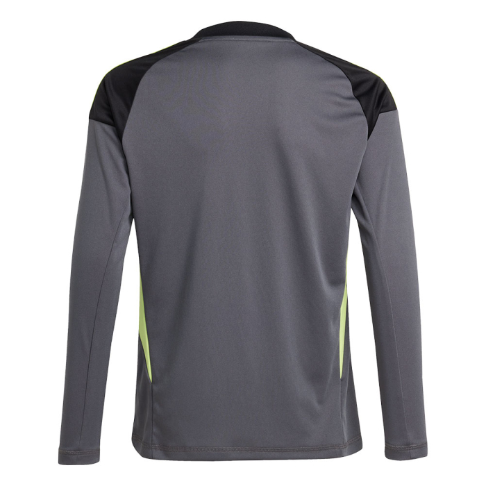 JN2019 adidas Tiro 25 Competition LS Junior GK Jersey grey five