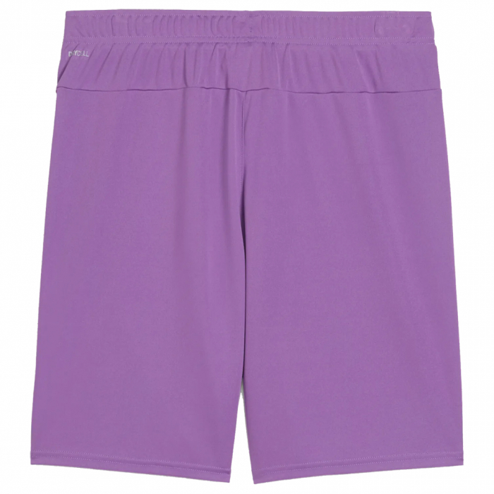 70575233 Puma Team Goal GK Shorts Ultraviolet