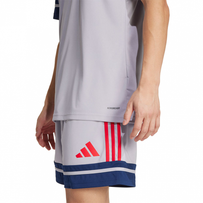 JP3410 adidas Squadra 25 SS GK Jersey Grey / Navy / Ruby