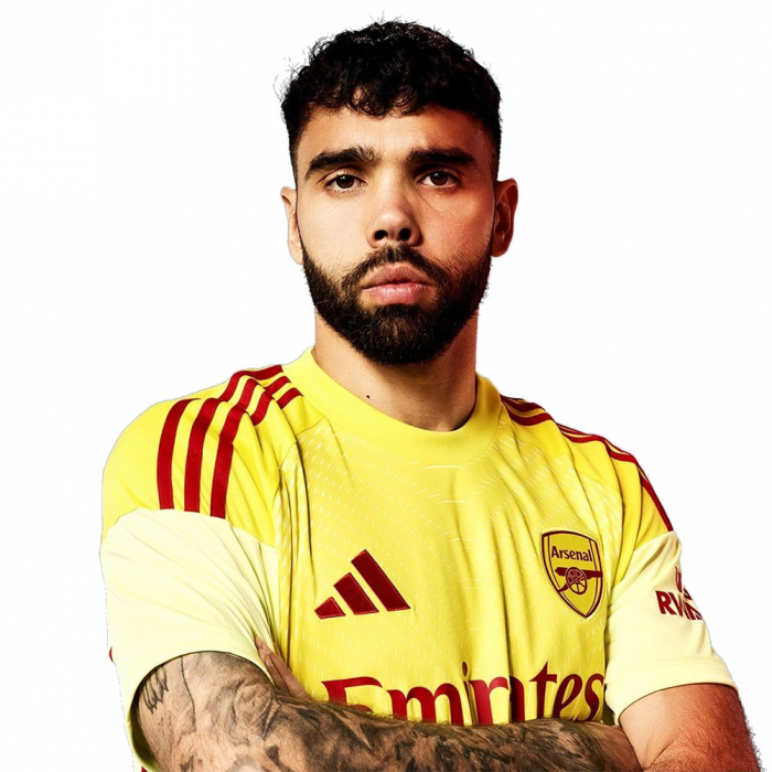 JI9538 adidas Arsenal FC LS Goalkeeper Jersey Junior