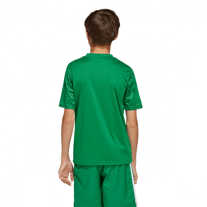JJ1956 adidas ICON 25 SS Junior GK Jersey Team Green