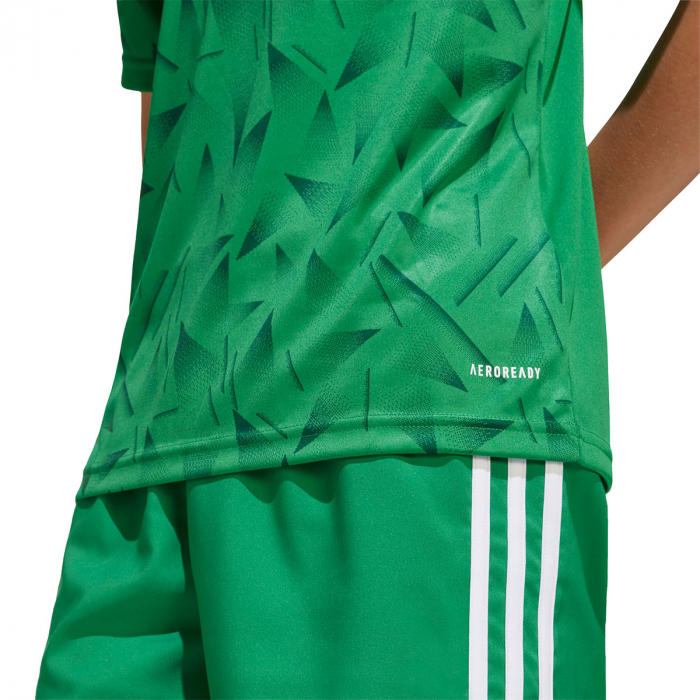 JJ1956 adidas ICON 25 SS Junior GK Jersey Team Green