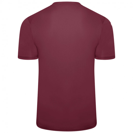  70501724 Puma Team Glory GK Jersey Grape Wine 