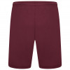  70492424 Puma Team Liga GK Shorts Grape Wine 