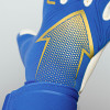 Reusch Arrow Gold X Goalkeeper Gloves Blue/Gold