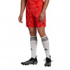  H18814 adidas Condivo 22 Goalkeeper Shorts red 