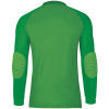  ISP8907-22 JAKO Inter GK Jersey LS Junior green 