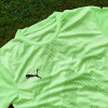 Puma Team Glory GK Jersey FIZZY LIME