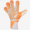 PUMA ULTRA Protect 1 RC Goalkeeper Gloves Neon Citrus/Diamond Silver