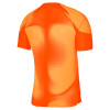 Nike Gardien IV GK Jersey SS Safety Orange / Orange Trance / (Black)