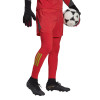 adidas Tiro 23 Pro Goalkeeper Tights/Shorts Team College Red