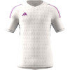 HK7666 adidas Tiro 23 Pro Short Sleeve Goalkeeper Jersey White/Active 