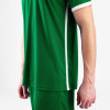  4212-200 JAKO Primera GK Jersey SS green 