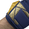 Reusch Attrakt Freegel Fusion Goaliator Blue/Gold