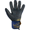Reusch Attrakt Freegel Fusion Goaliator Blue/Gold