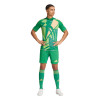  IS5349 adidas Tiro 24 Pro Short Sleeve Goalkeeper Jersey green 