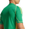  IS5349 adidas Tiro 24 Pro Short Sleeve Goalkeeper Jersey green 