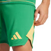  IS5346 adidas Tiro 24 Pro Goalkeeper Shorts green 