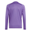  IN0430 adidas Tiro 24 Competition LS Junior GK Jersey purple 