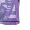  IN0430 adidas Tiro 24 Competition LS Junior GK Jersey purple 