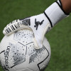 Precision GK Elite 2.0 Giga Goalkeeper Gloves White/Black