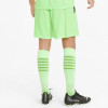 Puma Team Liga GK Shorts FIZZY LIME