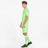 Puma Team Liga GK Shorts FIZZY LIME