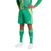  IT2414 adidas Tiro 24 Goalkeeper Shorts green 