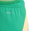  IT2414 adidas Tiro 24 Goalkeeper Shorts green 