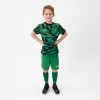 JAKO Animal GK Jersey SS Junior Sport Green/Black