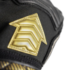Reusch Attrakt AB1 Duo Evolution Arrow Alisson Becker Goalkeeper Glove