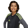 JN2019 adidas Tiro 25 Competition LS Junior GK Jersey grey five