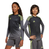JN2019 adidas Tiro 25 Competition LS Junior GK Jersey grey five